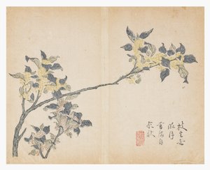 Mustármagos kert alkotó: Chinese School
