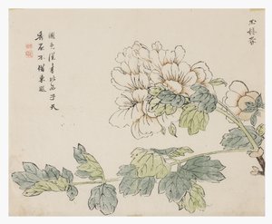 Mustármagos kert alkotó: Chinese School