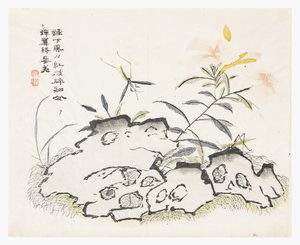 Mustármagos kert alkotó: Chinese School