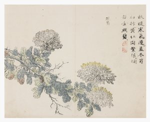 Mustármagos kert alkotó: Chinese School