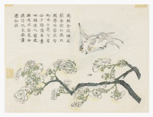 Mustármagos kert alkotó: Chinese School
