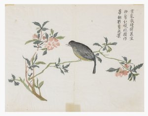 Mustármagos kert alkotó: Chinese School