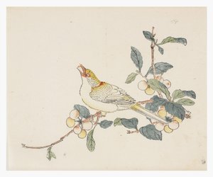 Tíz bambusz sorozat, 18. század alkotó: Chinese School