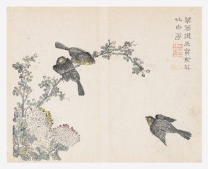 Mustármagos kert alkotó: Ching yu Chiu