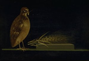 Egy fürj kukoricát eszik alkotó: Christen Købke