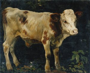 Egy bikaborjú, 1876