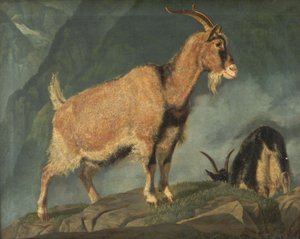 Kecske az Alpokban alkotó: Christian Holm