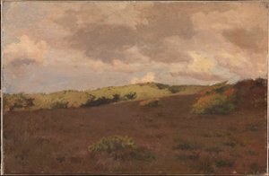 Heath táj. Esik alkotó: Christian Mourier Petersen
