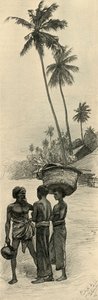 Férfiak csoportja, Colombo, Ceylon, 1898. alkotó: Christian Wilhelm Allers