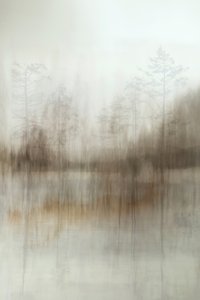 Ködös erdő tükröződései alkotó: Christina Sillen