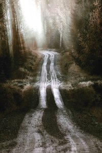 Ködös erdei út alkotó: Christina Sillen