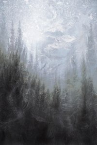 Ködös téli erdő alkotó: Christina Sillen