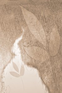 Lágy, növényi ragyogás alkotó: Christina Sillen