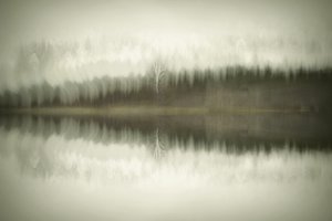 A Magányos Nyír-tó alkotó: Christina Sillen