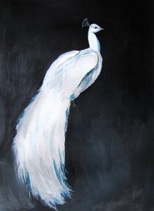 Elegáns fehér páva alkotó: Christine Lindstrom