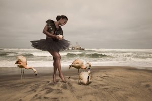 Balerina és tengerparti flamingók alkotó: Christine von Diepenbroek