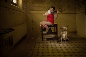 Szokatlan szobai szerenád alkotó: Christine von Diepenbroek