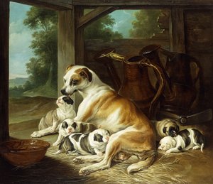 Egy anya a kölykeivel, 1734