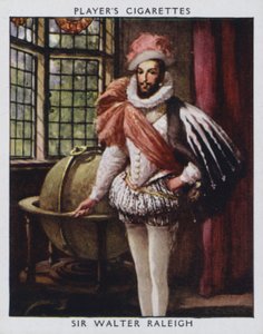 Sir Walter Raleigh (színes litó)