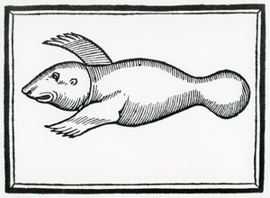 Egy „Manati” nevű hal az „India általános történetéből” 1547