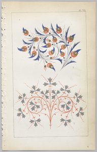 A dekoratív tervezés művészete: egy függelék, amely megadja a nap óráit, amikor a virágok nyílnak, kiadó: Day & Son, London, 1862 alkotó: Christopher Dresser