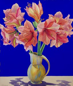 Amaryllis kancsóban, 2007 (wc és gouache papíron)