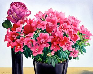 Azalea Rose alkotó: Christopher Ryland