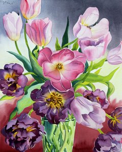 Tulipánok (akvarell papíron)