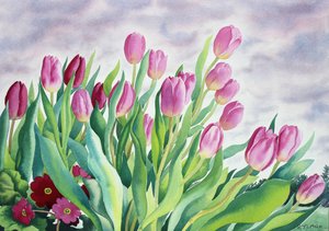 Tulipánok ablakon (akvarell, papír)