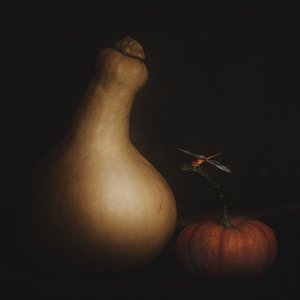  alkotó: Cicek Kiral