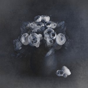  alkotó: Cicek Kiral