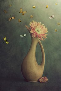 Gerbera-váza és repülés alkotó: Cicek Kiral