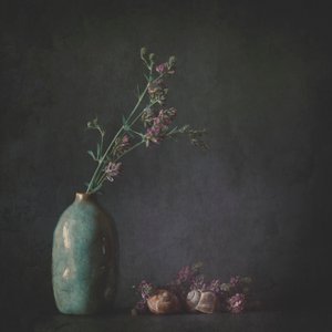 Moody botanikai csendélet alkotó: Cicek Kiral