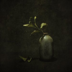 Moody botanikai csendélet alkotó: Cicek Kiral