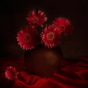 Melankolikus gerbera-csendélet alkotó: Cicek Kiral