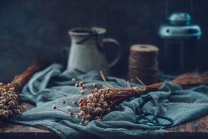 Hangulatos virágos csendélet alkotó: Cindy Liu
