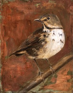  alkotó: Claire Lerner