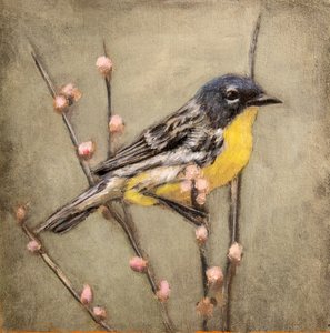  alkotó: Claire Lerner