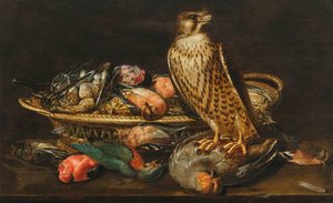 Clara Peeters Csendélet peregrinus sólyom és madarakkal