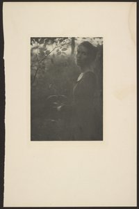 [Edge of the Woods -- Este]