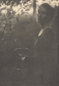 Az erdő széle, este, 1900.
