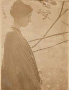 Napfény, 1899, nyomtatva 1901.