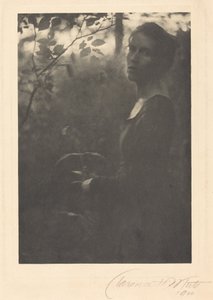 Az erdő szélén, este,1900 (fénykép)