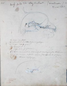Idegrendszer egy macska fejében, 1842. május (ceruza papíron) alkotó: Claude Bernard