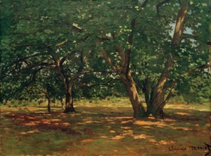 Fontainebleau-i erdő