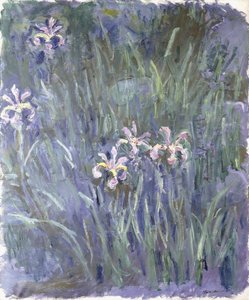 Írisz, 1914-1917 körül alkotó: Claude Monet
