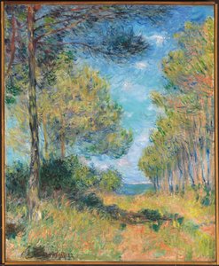Pine Tree Path Varengeville-ben; Allee de sapins Varengeville, 1882 alkotó: Claude Monet
