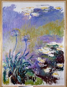 Az agapanthus alkotó: Claude Monet