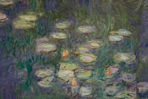 Tavirózsa (olaj, vászon) alkotó: Claude Monet
