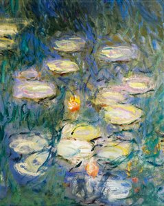 Tavirózsa, Claude Monet, részlet alkotó: Claude Monet